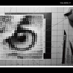 Disco in vinile Sakanaction - Adapt (Limited Edition) (2 LP)
