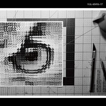 Disco in vinile Sakanaction - Adapt (Limited Edition) (2 LP) - 1