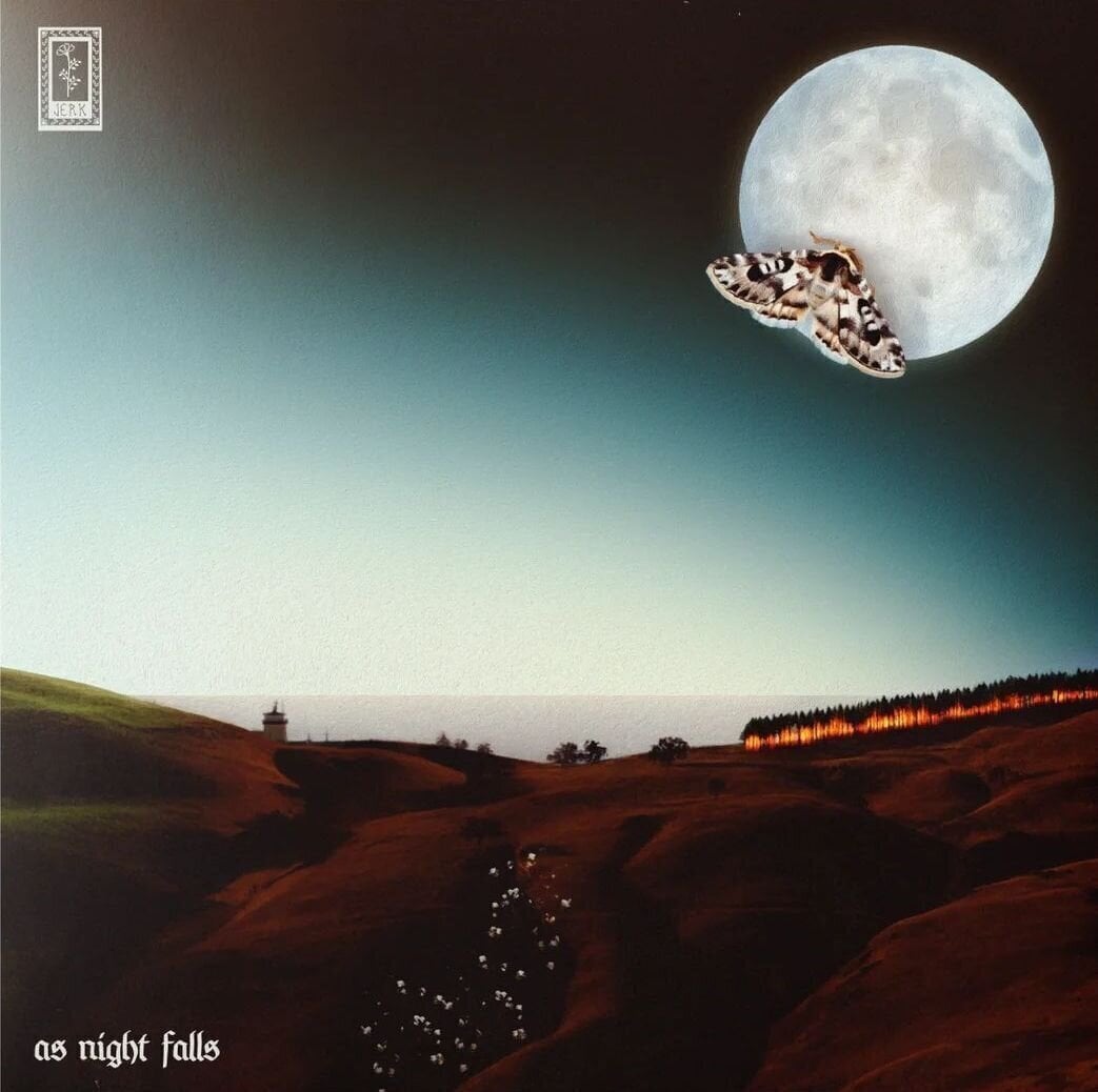 Vinyl Record Jerk - As Night Falls As Day Breaks (LP)