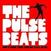 Disco de vinil The Pulsebeats - Don't Turn Your Fucking Back On Me (7" SP)