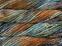 Strikkegarn Malabrigo Rasta Amphibian Strikkegarn