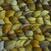 Pređa za pletenje Malabrigo Nube Mostaza Pređa za pletenje