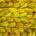 Knitting Yarn Malabrigo Nube Frank Ochre Knitting Yarn
