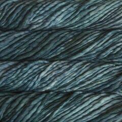 Fire de tricotat Malabrigo Rasta Reflecting Pool Fire de tricotat