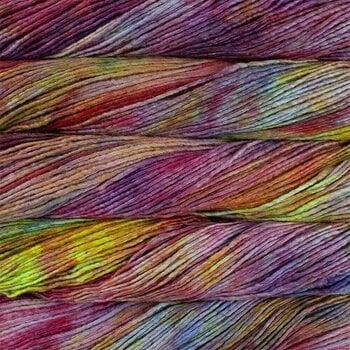 Kudumislõng Malabrigo Worsted Camaleón Kudumislõng - 1
