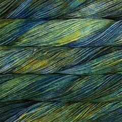 Пряжа для в'язання Malabrigo Worsted Hojas Пряжа для в'язання