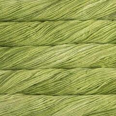 Kudumislõng Malabrigo Worsted Apple Green Kudumislõng