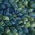 Pređa za pletenje Malabrigo Nube Solis Pređa za pletenje