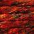Fire de tricotat Malabrigo Mechita Paprika Fire de tricotat