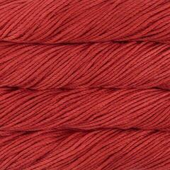 Kudumislõng Malabrigo Chunky Cactus Flower Kudumislõng
