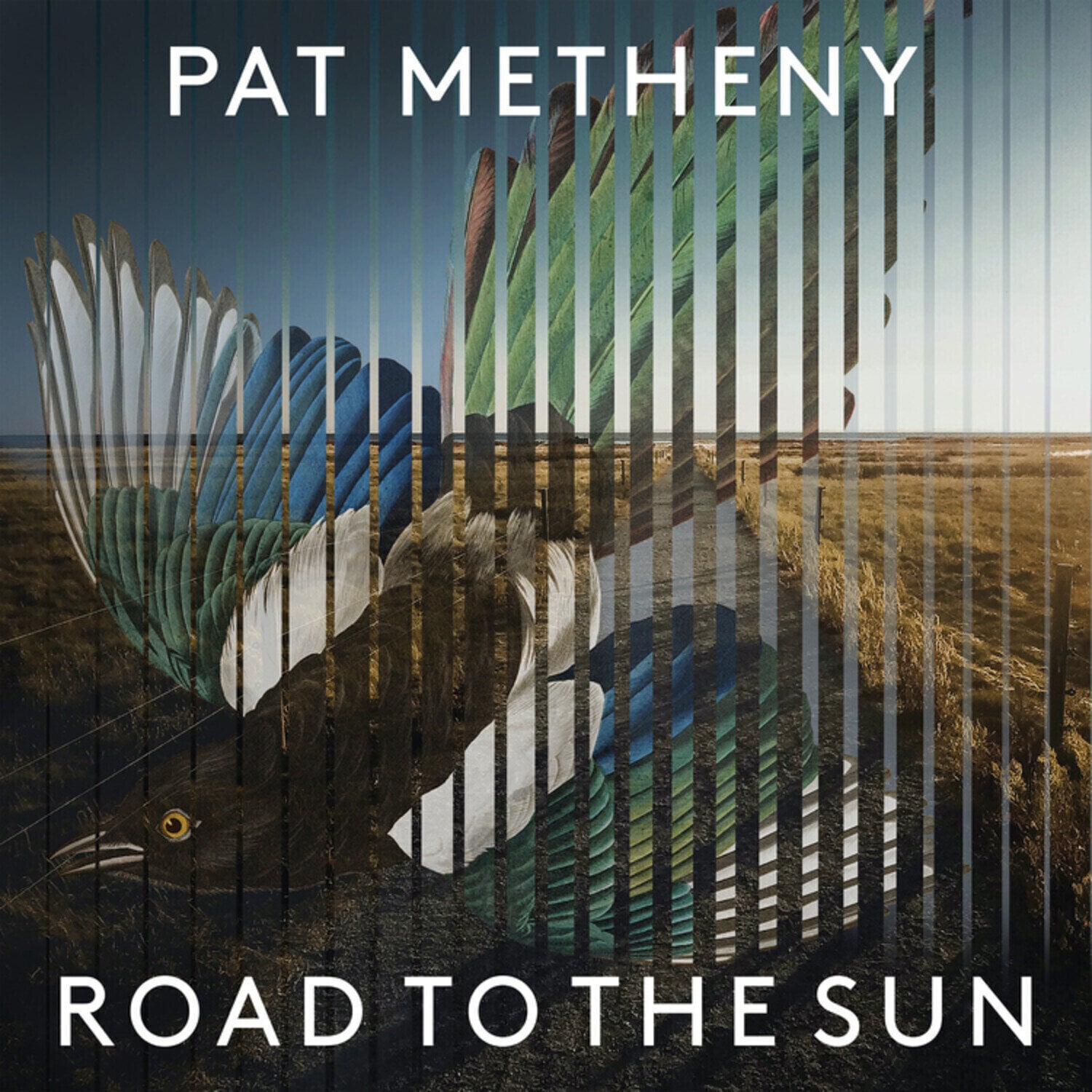 Vinyl Record Pat Metheny - Road To The Sun (2 LP)