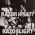 Disque vinyle Razorlight - Razorwhat? The Best Of Razorlight (LP)