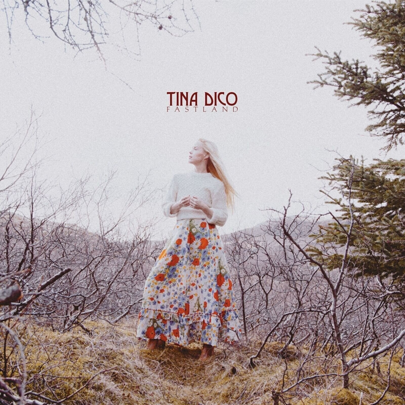 Schallplatte Tina Dickow - Fastland (LP)