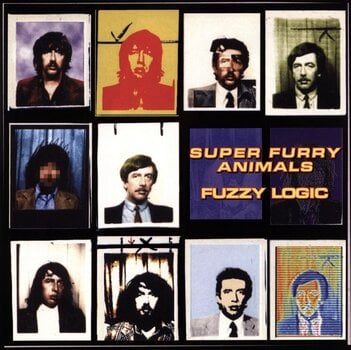 LP ploča Super Furry Animals - Fuzzy Logic (Reissue) (20th Anniversary) (180 g) (LP) - 1