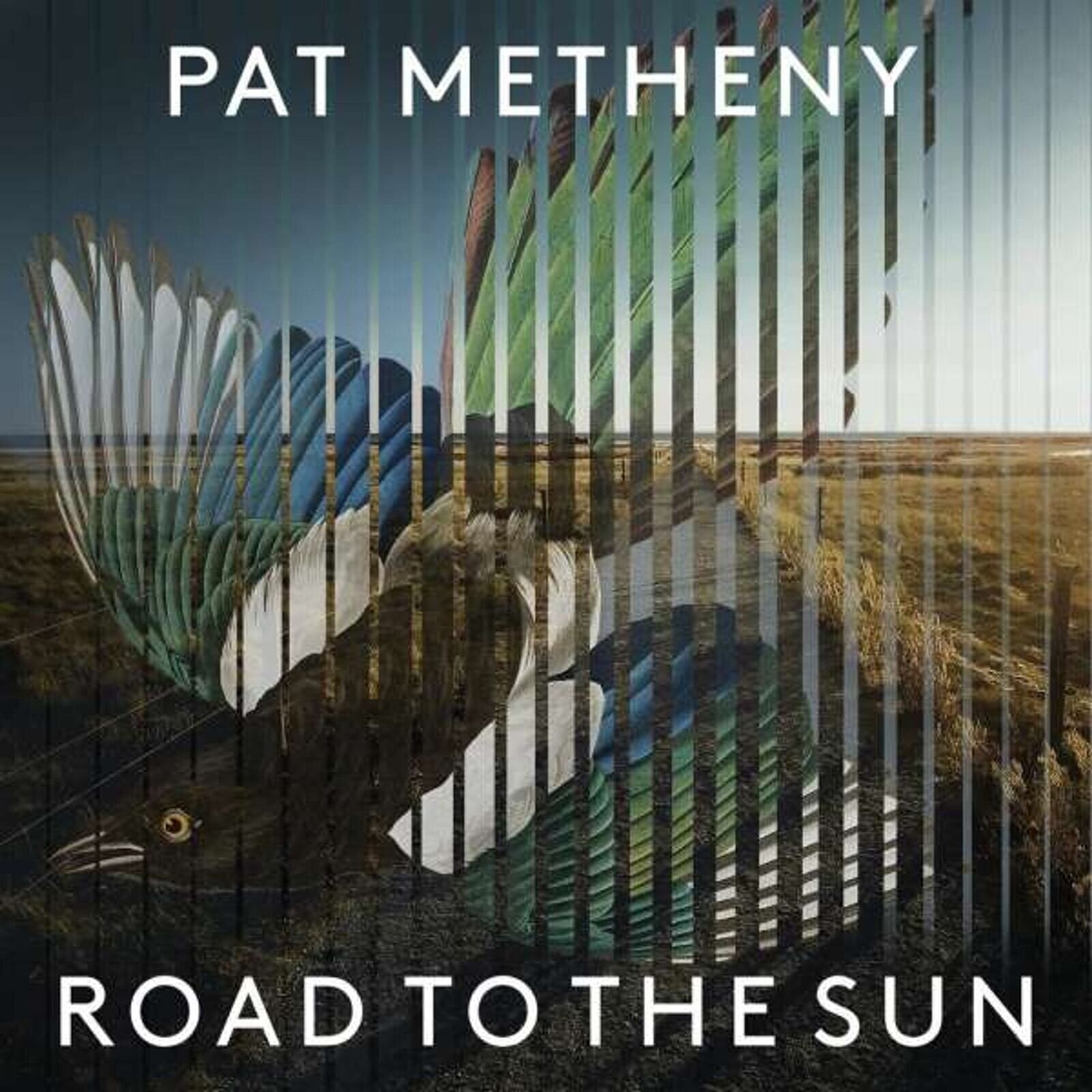 LP ploča Pat Metheny - Road To The Sun (Gatefold) (2 LP)