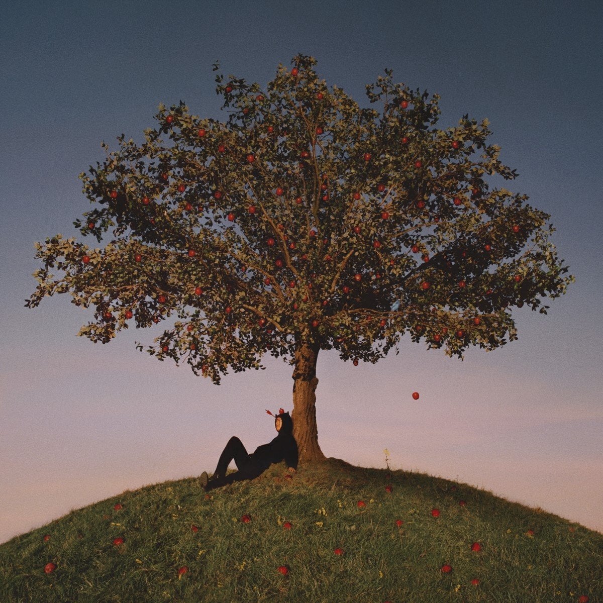 Schallplatte Slowthai - Tyron (Limited Edition) (LP)