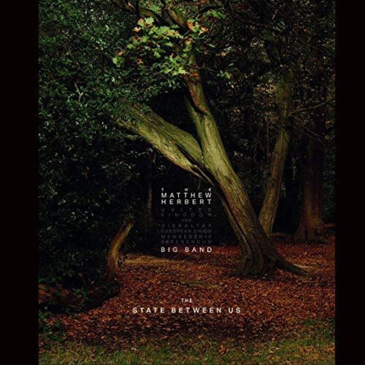 Schallplatte The Matthew Herbert Big Band - The State Between Us (3 LP)