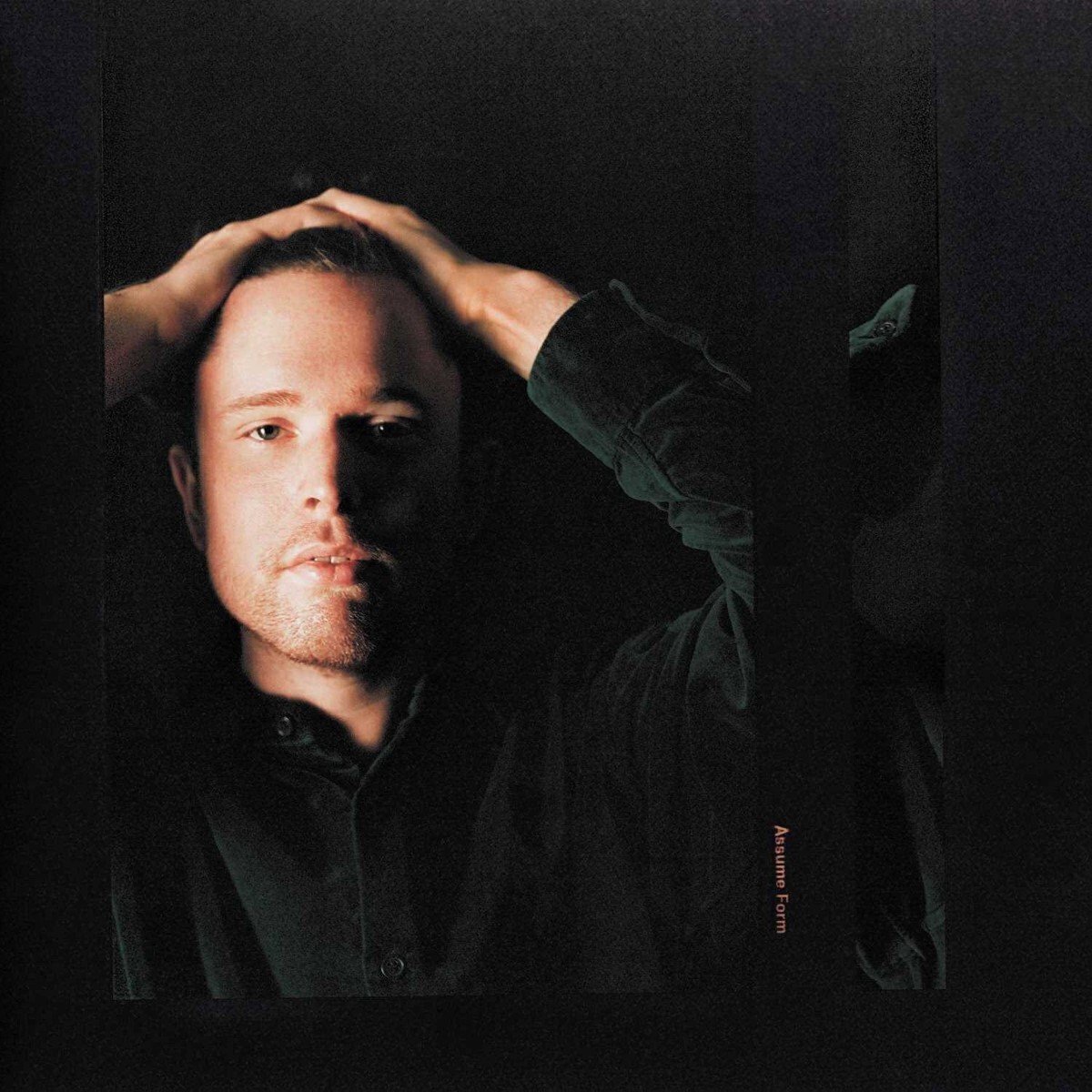 LP ploča James Blake - Assume Form (180 g) (2 LP)