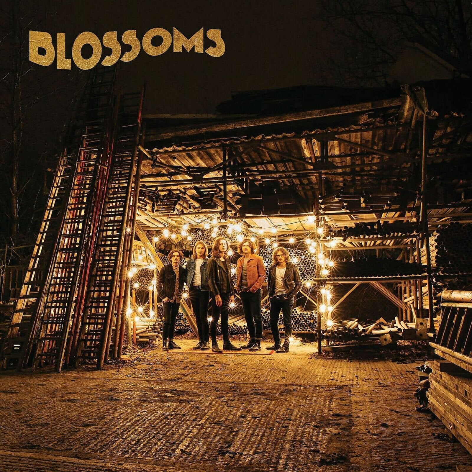 Disc de vinil Blossoms - Blossoms (Reissue) (LP)
