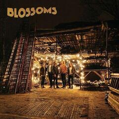 Disc de vinil Blossoms - Blossoms (Reissue) (LP)