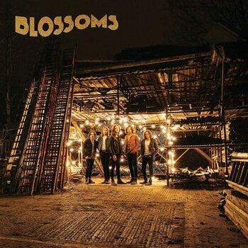 Disc de vinil Blossoms - Blossoms (Reissue) (LP) - 1