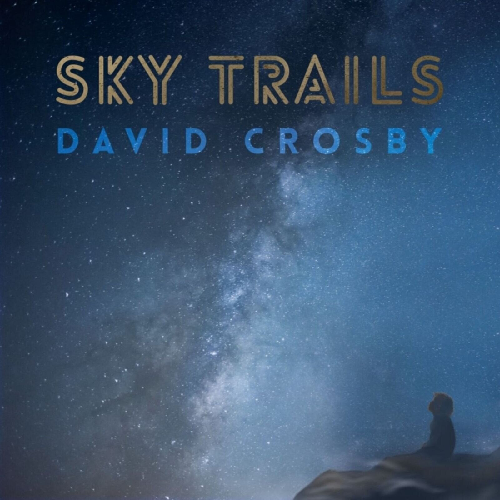 Disc de vinil David Crosby - Sky Trails (2 LP)