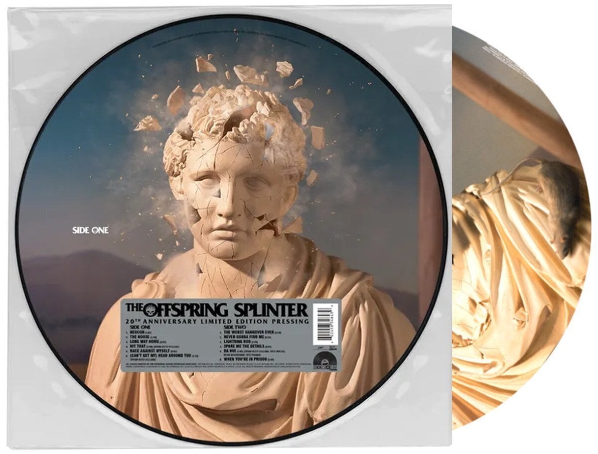 Vinüülplaat The Offspring - Splinter (LP)