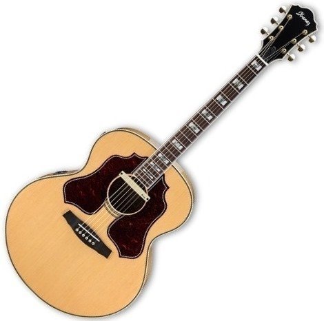 Dreadnought Guitar Ibanez SGE 530 Natural Acoustic Guitar