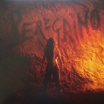 Disc de vinil Carlos Ares - Peregrino (LP) - 1