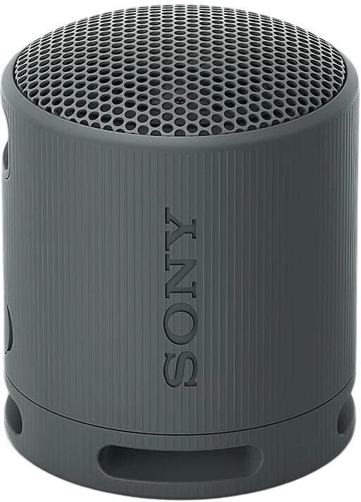 Portable Lautsprecher Sony SRS-XB100 Black Portable Lautsprecher