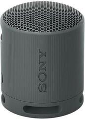 Portable Lautsprecher Sony SRS-XB100 Black Portable Lautsprecher