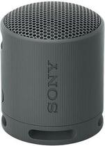 Sony SRS-XB100 Black Portable Speaker (Like new)