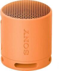 Portable Lautsprecher Sony SRS-XB100 Orange Portable Lautsprecher
