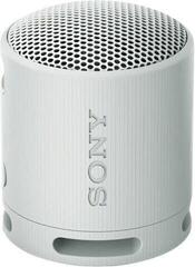 Portable Lautsprecher Sony SRS-XB100 Grey Portable Lautsprecher