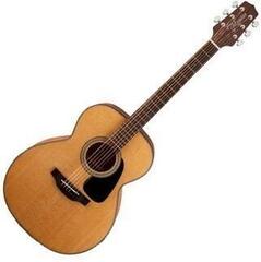 Takamine GN10-NS