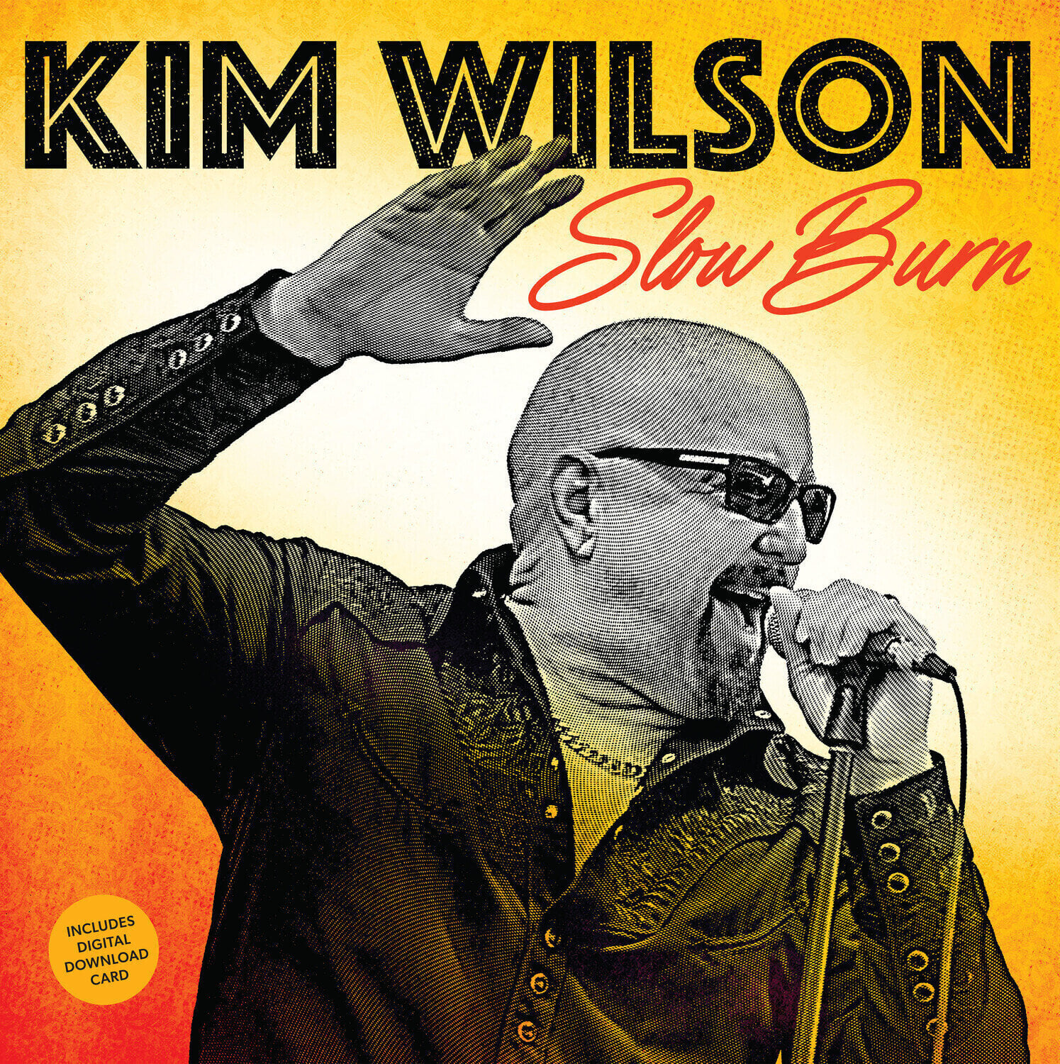 Disc de vinil Kim Wilson - Slow Burn (LP)