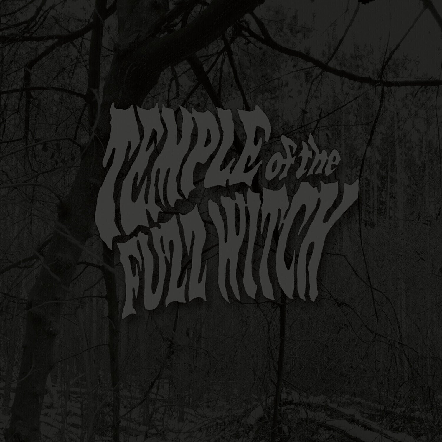 LP Temple Of The Fuzz Witch - Temple Of The Fuzz Witch (LP)