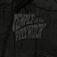 LP Temple Of The Fuzz Witch - Temple Of The Fuzz Witch (LP)