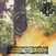 Грамофонна плоча Abigor - Verwüstung / Invoke The Dark Age (Transparent Fire Colored) (LP)