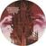 Disco de vinil Cannibal Corpse - Gallery Of Suicide (Picture Disc) (LP)