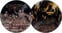 Disco de vinilo Cannibal Corpse - Gore Obsessed (Limited Edition) (Picture Disc) (LP)
