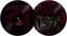 Disco de vinil Cannibal Corpse - Torture (Limited Edition) (Picture Disc) (LP)