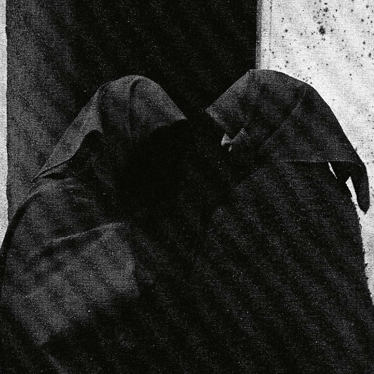Schallplatte Downfall Of Nur - And The Firmament Will Burn To Quench The Pain Of This Earth (2 LP)