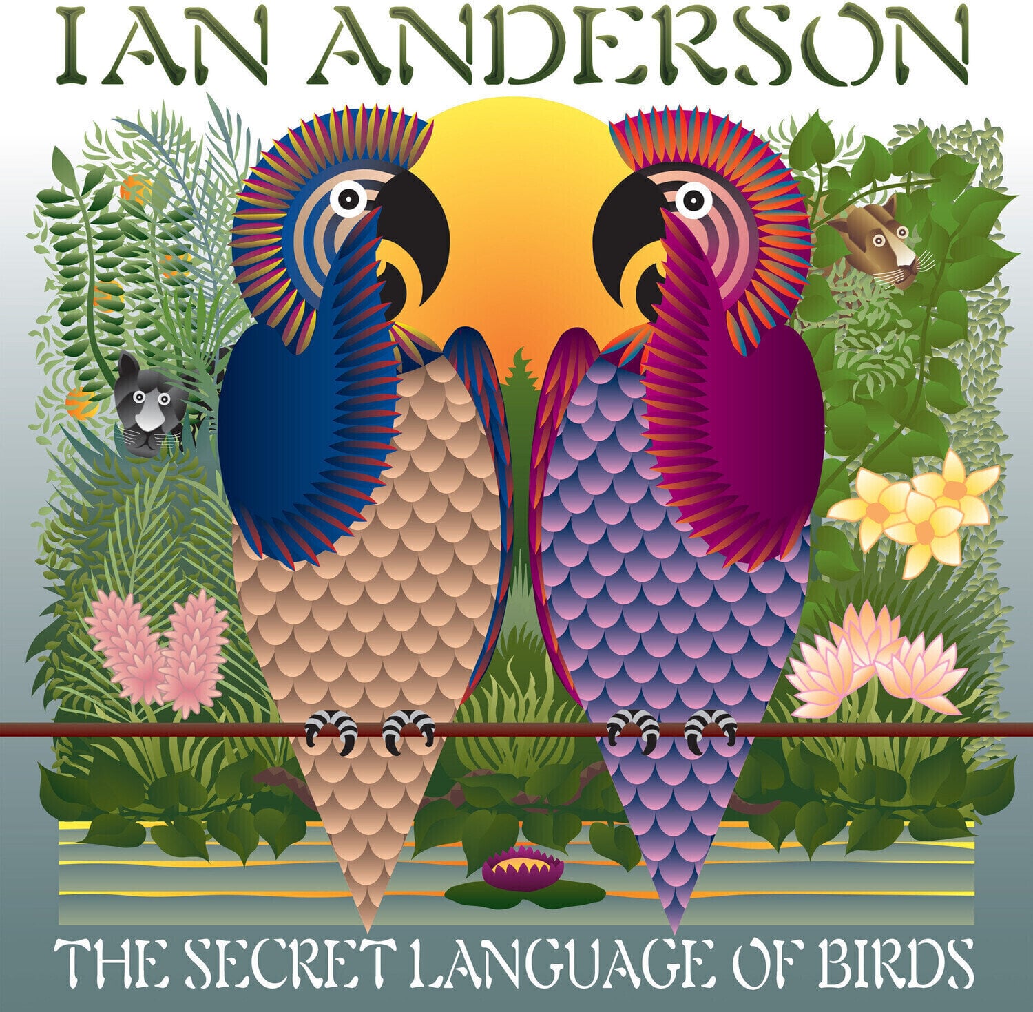 LP deska Ian Anderson - The Secret Language Of Birds (Gatefold Sleeve) (2 LP)