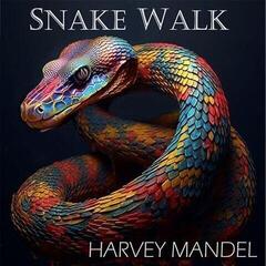 LP Harvey Mandel - Snake Walk (LP)