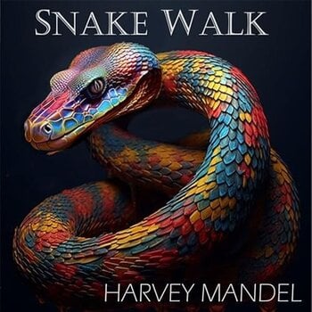 LP Harvey Mandel - Snake Walk (LP) - 1