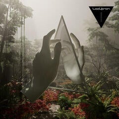 LP ploča Ladytron - Paradises (Indie Exclusive) (Gatefold Sleeve) (Paradises Green Coloured) (140 g) (2 LP)