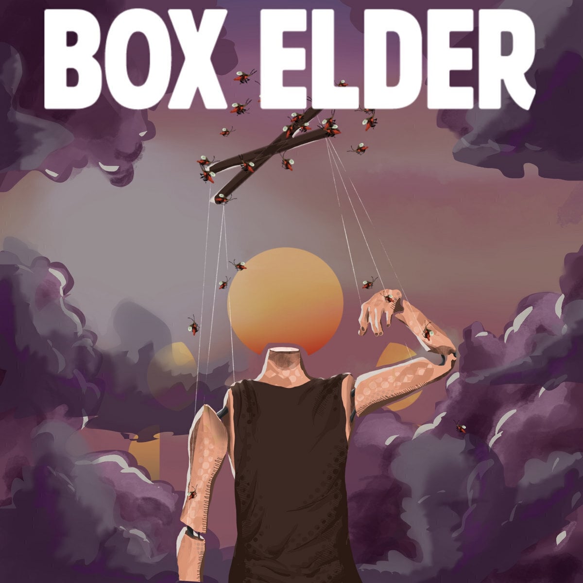 Vinilinė plokštelė Box Elder - Box Elder (LP)