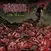 Disco in vinile Internal Bleeding - Settle All Scores (Limited Edition) (Red/Black Splatter Coloured) (LP)