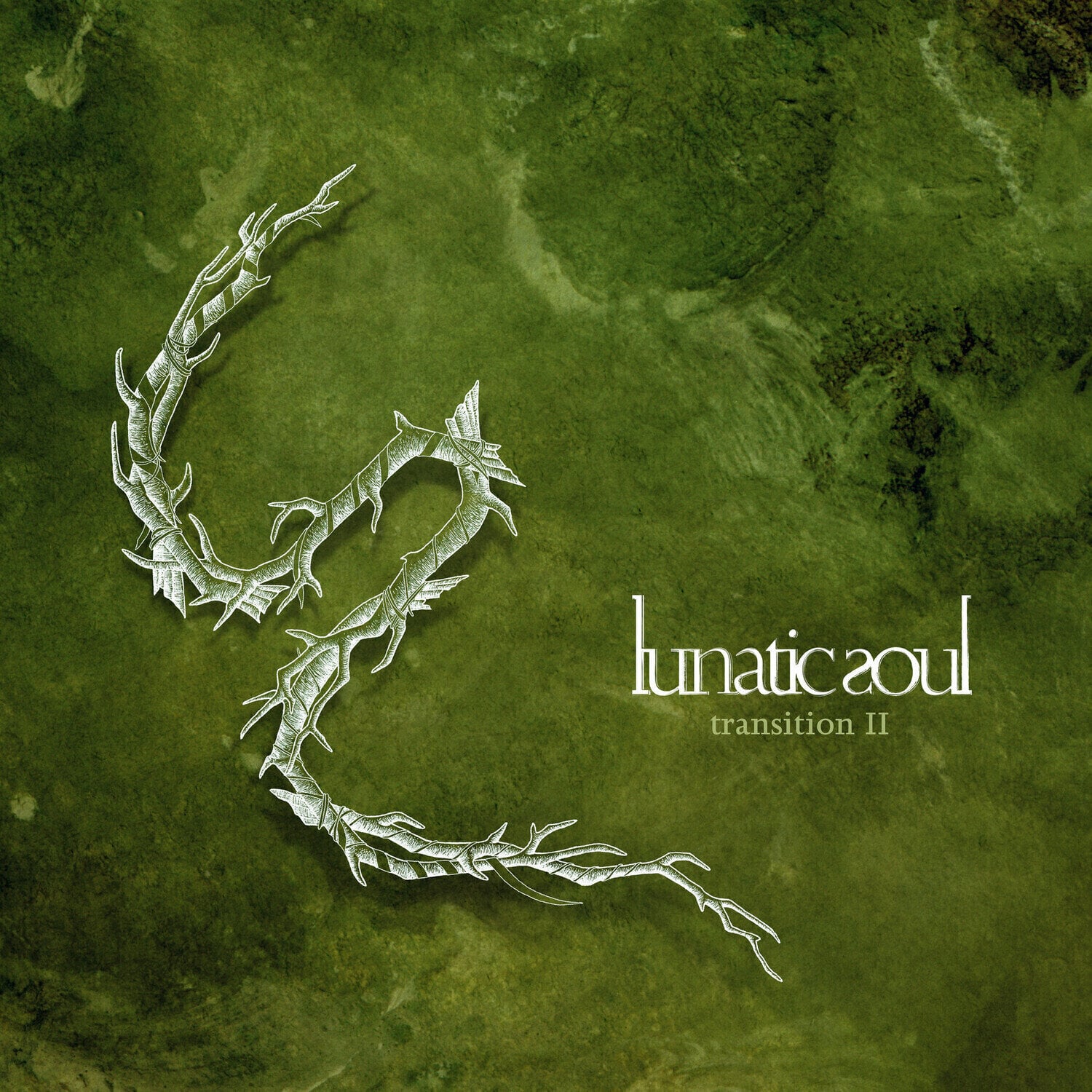 Schallplatte Lunatic Soul - Transition II (Limited Edition) (Olive Coloured) (LP)